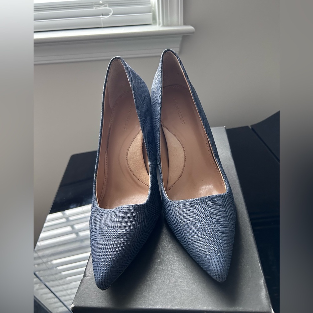 Banana Republic Prep Blue Block Heel Pump
